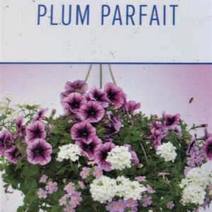 Combo Kits Jolly Farmer-Plum Parfait