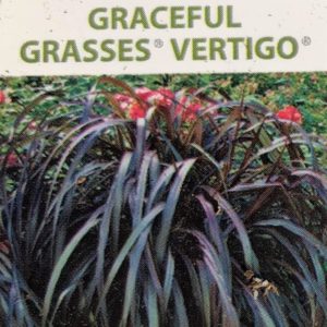 Grasses-Vertigo