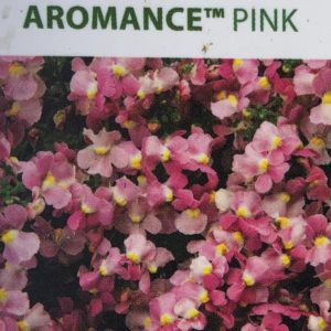 Nemesia-Aromance Pink