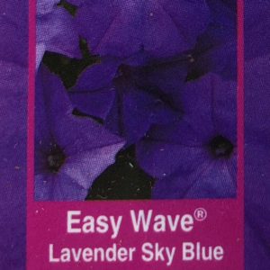 Petunia Easy Wave-Lavender Sky Blue