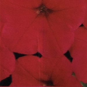 Petunia Easy Wave-Red