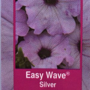 Petunia Easy Wave-Silver