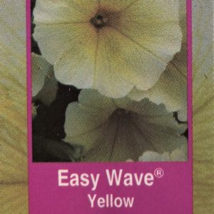 Petunia Easy Wave-Yellow